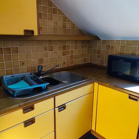 Apartamento Toller Ausblick Seelbach (Baden-Wurttemberg)